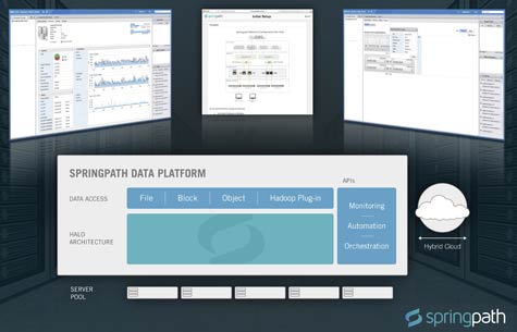 Springpath Data Platform